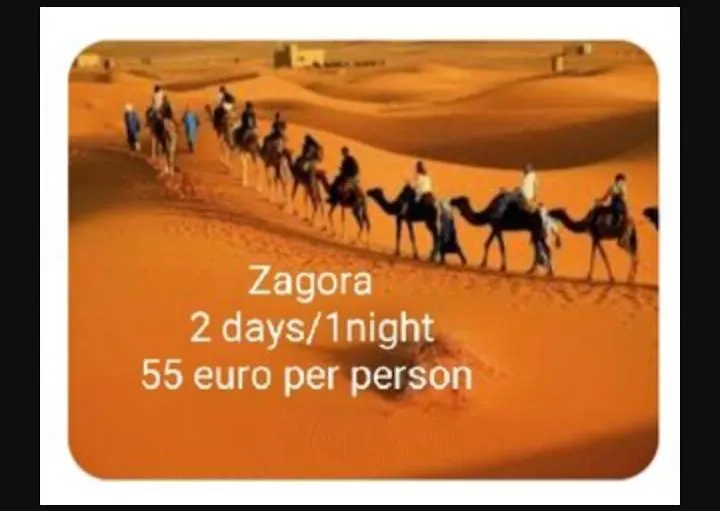Riad Tifor-1